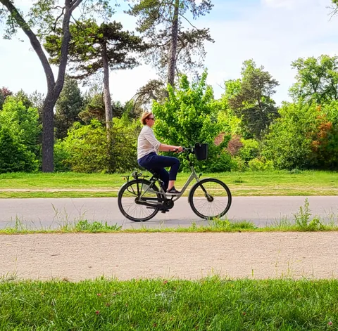 Un cycliste dans les allées d’un parc