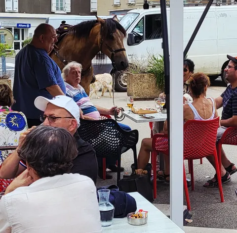 Des clients à la terrasse d’un PMU, un cheval qui passe derrière