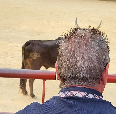 Un homme aux cheveux en pointes regarde un taureau dans une arène
