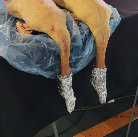 Deux canards plumés, les pattes emballées dans du papier aluminium, posés sur un sac plastique