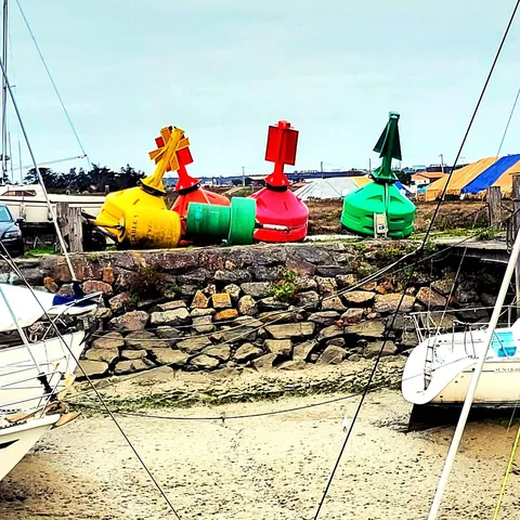 Port de Noirmoutier, des bouées colorées entourées de bateaux