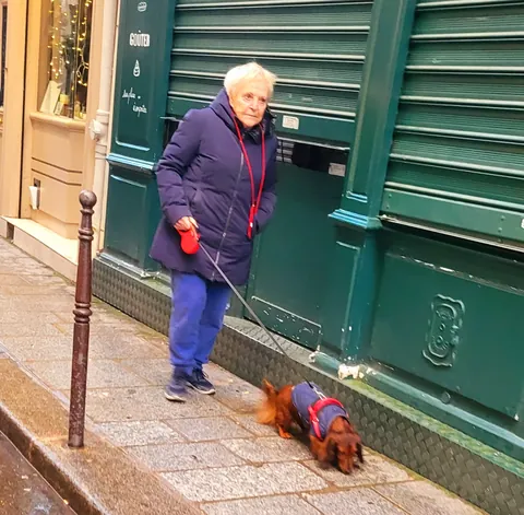 Une vieille dame qui promène un teckel en manteau