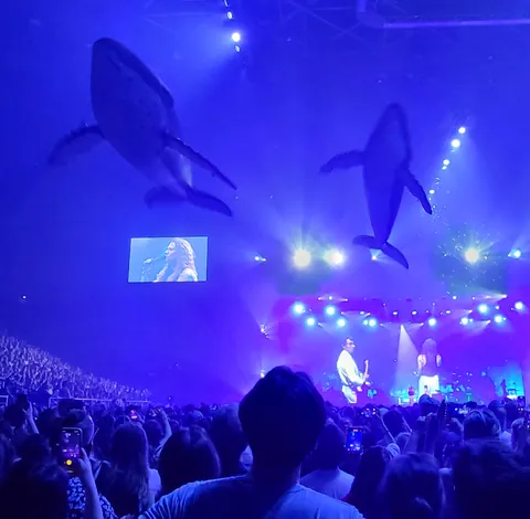 Des baleines géantes suspendues au-dessus d’un concert