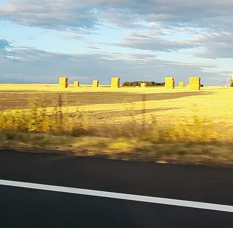 Un champ de blé doré vu depuis une voiture, des blocs de béton alignés à l’horizon