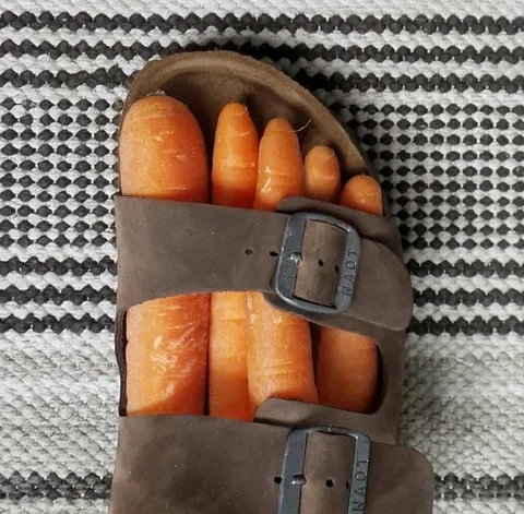 Des carottes glissées dans une sandale Birkenstock
