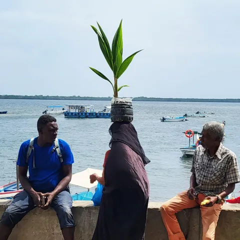 Une femme porte une plante sur la tête devant la mer dans le port de Lamu au Kenya