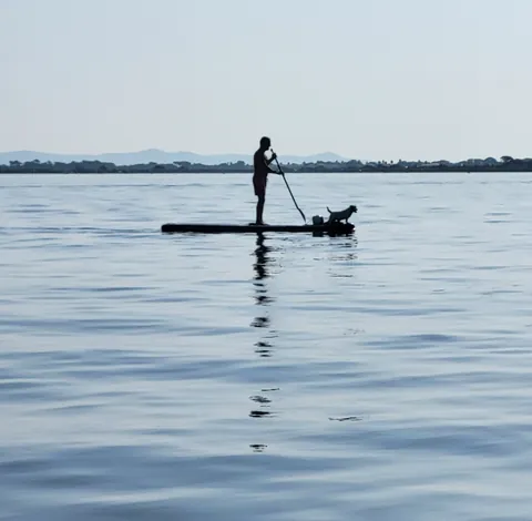 Un paddle sur un lac, un chien assis à l’avant