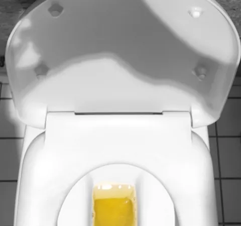 Une cuvette de toilettes blanche vue d’en haut, un peu de liquide jaune au fond
