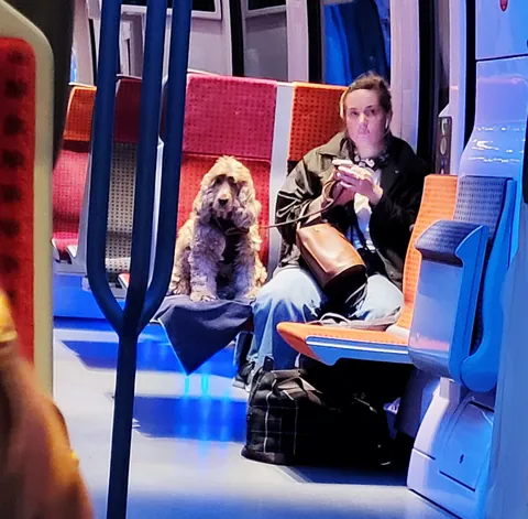Un cocker assis sur un siège de train à côté d’une voyageuse