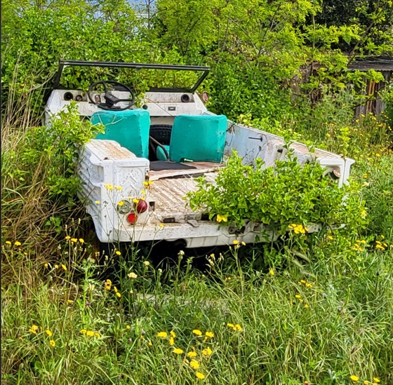 Une voiture abandonnée, envahie par les herbes hautes